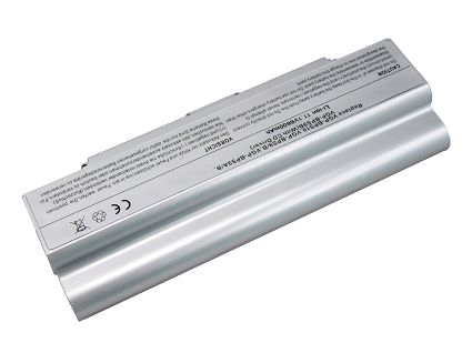 Sony VGP BPL9 battery